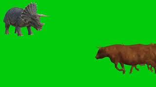 Animals Running  escap zoo green screen video |wild animals green screen video | Animals cartoon