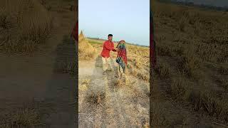 #bhojikibensong #song comedy terendingreels #bhojpurisong