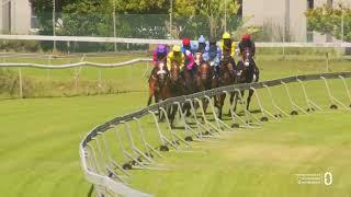 MAKE IT SNAPPY - 2023 Grade 1 Cartier Paddock Stakes - 7th January 2023 - Hollywoodbets Kenilworth