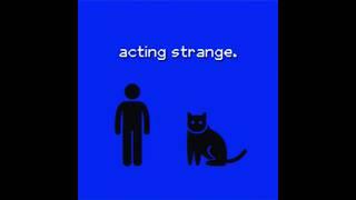 ANALOG HORROR - Cute Cats!