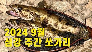 2024년 9월 섬강 주간 쏘가리 낚시