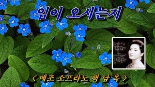 [가곡]  임이 오시는지  소프라노  백남옥 (HD with Lyrics) 