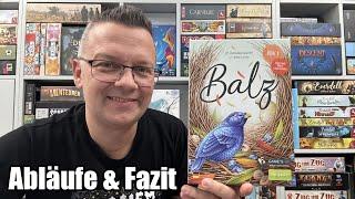 Balz (Game's up / dlp Games) - Raffiniertes 2er Spiel mit reizvollen Elementen