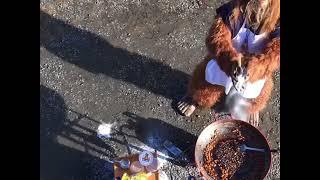 Bigfoot, Onewheel, and Squatchnuts!!!!