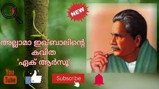 അല്ലാമാ ഇഖ്ബാലിന്റെ പ്രശസ്ത ഉർദു കവിത ഏക് ആർസൂ. famous Urdu poem 'Ek Arzoo' Written by Allama lqbal.