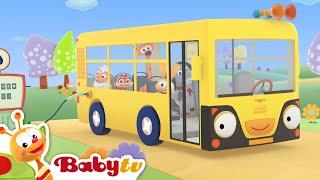 As Rodas do Autocarro  | Canções & Rimas | BabyTV Português