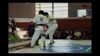 Kyokushin IKO II Chile