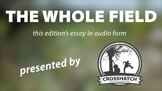 Embeddedness, Part One —A Primer