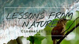 THE LESSONS FROM NATURE- LINDA/ POEM/Cinematic Video