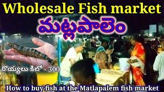 How to buy fish at the Matlapalem fish market, Wholesale fish market matlapalem, dry fish market