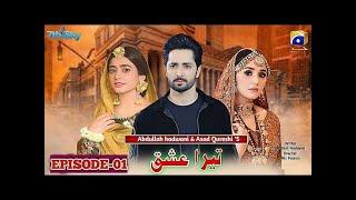 Tera Ishq Episode 1 | Danish Taimoor | Sehar Khan