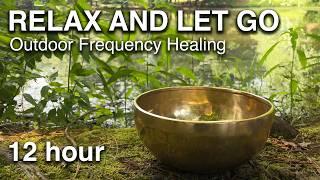 Perfect Outdoor Healing Frequencies To Leave On In The Background While You Work Or Sleep