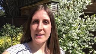 Pledge To Preserve | Coacto Consulting