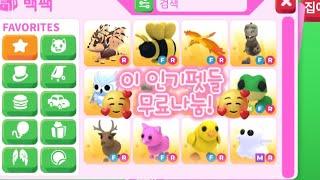 입양하세요 펫 이벤트,양식 (공개구독,알람설정,좋아요)꼭 지켜주세요~~