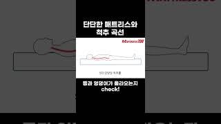 단단한 매트리스와 척추 곡선