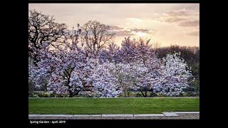 Photographer Jason Ingram's Desert Island Gardens