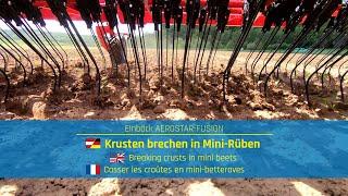 Striegeln von Mini-Rüben | Weeding sugarbeets | Étriller betteraves | Einböck Shortclip #48