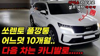 쏘렌토 풀깡통 다음 차는 카니발??../ 다이소 카샴푸로 셀프 세차 #suv #토레스 #코나 #스포티지 #차량 #브이로그