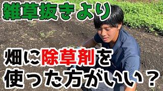 【正直きつい...】普段の雑草抜きと除草剤についてお話しします。【家庭菜園】