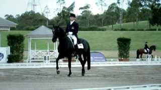 Sydney CDI 2013 -David Shoobridge & OO Seven 2nd place in the Pryde's EasiFeed Grandprix CDI 3*