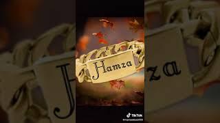 Hamza mughal