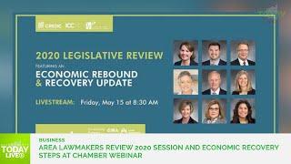 Area lawmakers review 2020 session and economic recovery steps at Chamber webinar