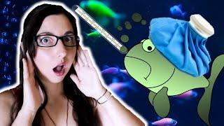 Common Fish Diseases And Treatments  How To Treat Sick Fish