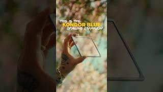Kondor Blue Opaline Diffusion Filter! #kondorblue #elementfilters #camerafilter