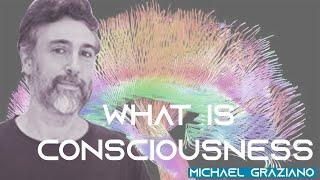 IS CONSCIOUSNESS MECHANISTIC-MICHAEL GRAZIANO : SCIENTIST, AUTHOR PROF OF PSYCHOLOGY & NEUROSCIENCE