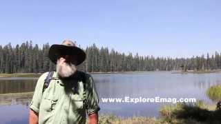 Explore Island Lake, Dee Lake and the Waldo Tree