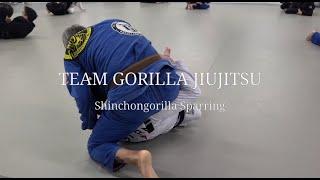 20220919 ShinChonGorilla Sparring : Brown (3Round), Purple (1Round)