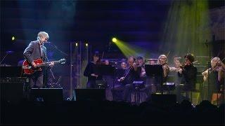 Neil Finn - One Step Ahead (live with strings, Auckland 2015)