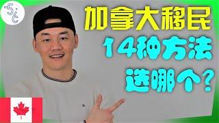 加拿大 移民 | 你要的所有信息都在这里 看这个视频就够了