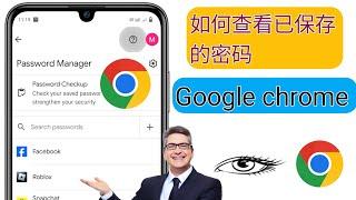 如何查看 Google Chrome 中保存的密码 (2024) Google Chrome 中保存的密码