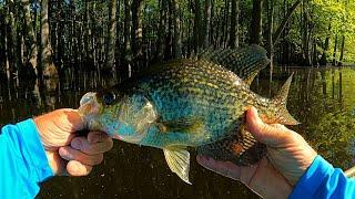 "Crappie fishing in the clear lake after a big rain" - beetle spin and live minnow