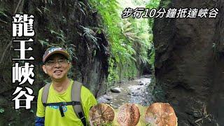 A canyon hiking route with a super high CP value ~ Dragon King Canyon (Xihu Township, Miaoli County)