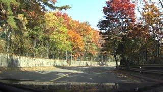 [DRIVIN SEOUL] 가을정취 물씬 북악스카이웨이# Along the City Wall's North Part of Historical Seoul