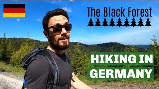 My FAVORITE HIKING  spot - Germany's BLACK FOREST