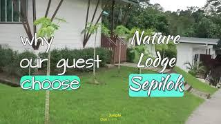 Here's why nature lovers choose Nature Lodge Sepilok for their trip to Borneo !