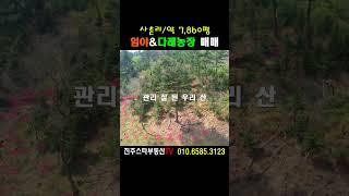 ［참고영상］매물 ×