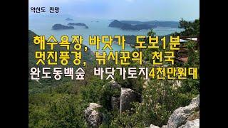 [번호 390399] 전남 완도군 약산면 바닷가 토지매매 해수욕장 펜션부지매매 해변 전원주택지급매매 팬션용지매도 가사동백숲 해변 바다 도보1분 위치좋음 면적:413㎡ 부동산직거래