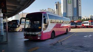 [시외버스] 광주유스퀘어-속초시외버스터미널 주행영상(Gwangju Usquare-Sokcho Intercity Bus Terminal)