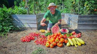 Shocking Raised Bed Harvest! |I Had to Taste Everything ️|