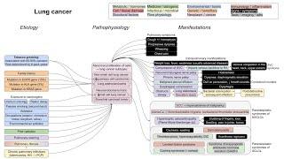 Lung cancer (mechanism of disease)