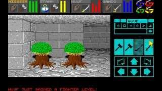 Amiga Longplay Dungeon Master