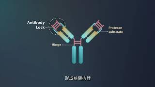 高雄醫學大學-萬能抗體鎖