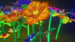 Largest light festival in Sacramento @ CALL EXPO