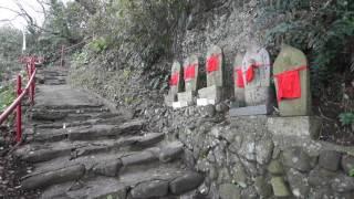 Time of Travel : Cherry Blossom Viewing  in Ibukijima Island Part 3 (Kagawa, Japan)