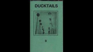 Ducktails - II (FULL CDr ALBUM - 2008 - Future Sound Recordings - Ambient/Hypnagogic Pop)