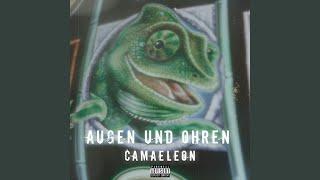 Augen und Ohren